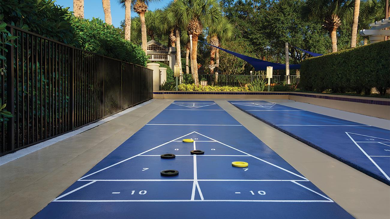 Shuffleboard Court